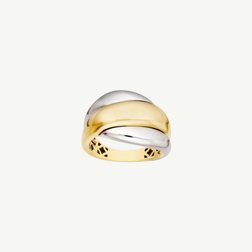 Two Tone Polished Rolling Twist Ring