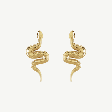 Snake Friction Back Earring