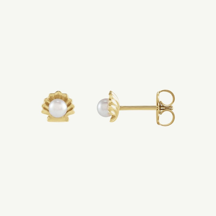 14K Yellow Gold Pearl Shell Earrings