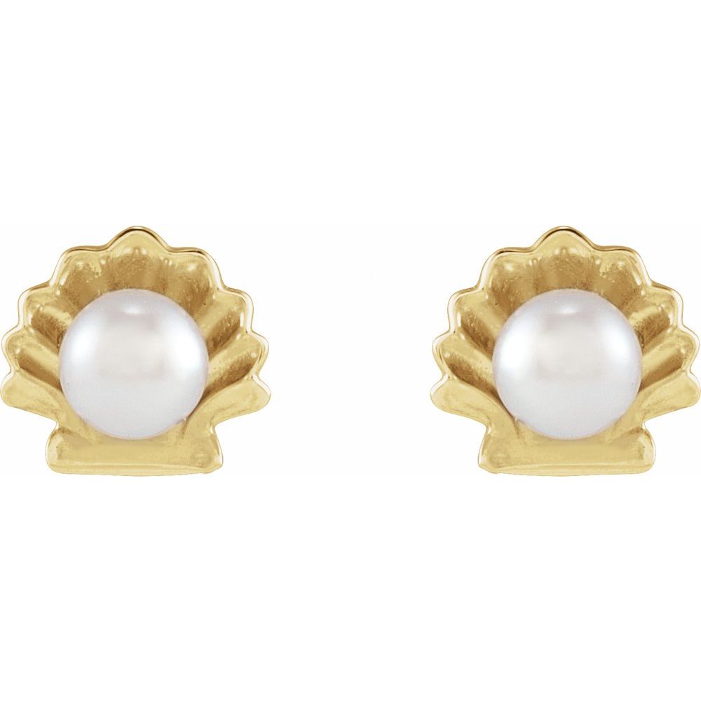 14K Yellow Gold Pearl Shell Earrings