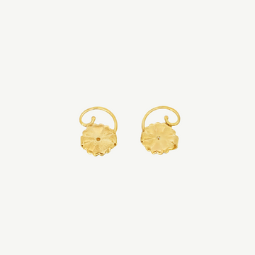 Earring Lifts